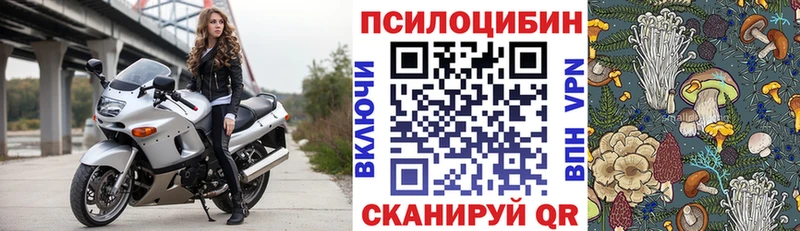 купить  цена  Глазов  Галлюциногенные грибы GOLDEN TEACHER 