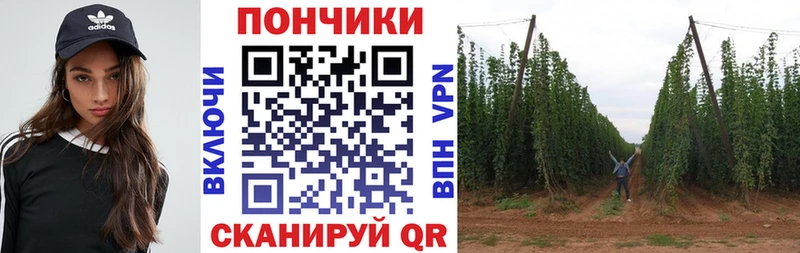 дарнет шоп  Глазов  Марихуана конопля 